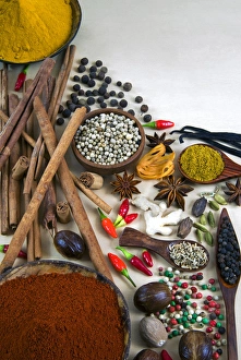 Different Types Of Spices Imprime: Different types of spices
