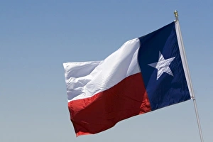 American Symbol Imprime: The Flag of Texas