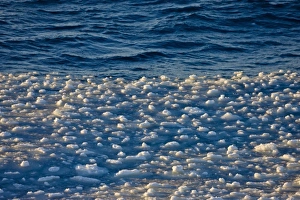 Ocean Landscape Photography Imprime: Floating ice blocks pattern, Antarctica