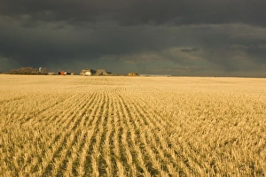 Environmentally Friendly Farming Practices Imprime: 02