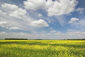 Central European Landscapes Imprime: Lithuania, Central
