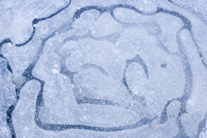 Winter Ice Formations Imprime: Patterns in a frozen puddle