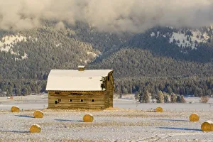 Rural Snowy Landscape Imprime: Rustic barn