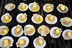 Summer Dinner Ideas Imprime: Scallops on Barbeque