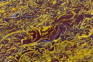 Macro Mineral Photography Imprime: Scripted Jasper