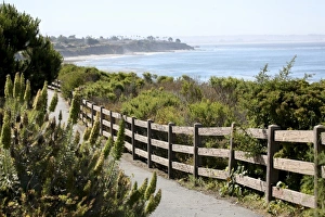Blue Sky Scenic Views Imprime: Shell Beach / The Bluffs