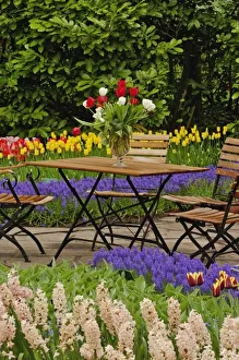 Tulips In Garden Imprime: Tulips of table