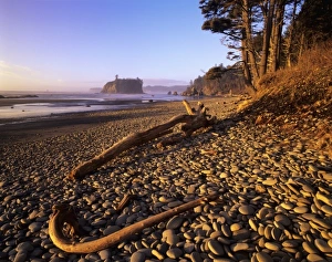 Olympic Peninsula Nature Imprime: WA, Olympic NP, Ruby Beach