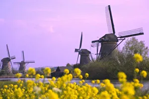 Kinderdijk UNESCO Site Imprime: Windmills along