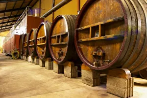 Vaucluse France Imprime: The wine cellar