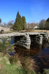 Devon Imprime: Postbridge Devon
