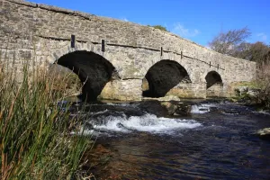 Devon Imprime: Postbridge Devon