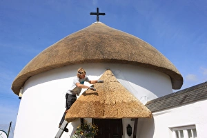 Cornwall Rural Landscape Imprime: Thatching