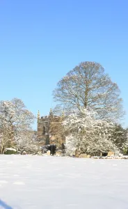 Árboles Imprime: Upper Slaughter