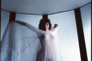 Soft Focus Photography Imprime: fin1973 co tra 017