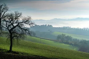 Italian Countryside Landscape Imprime: Countryside