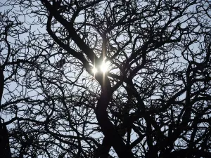 Oxfordshire Landscape Photography Imprime: Two suns