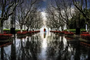 Natural Beauty Images Imprime: Walking in the rain