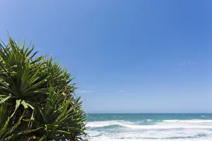 Australian Beach Views Imprime: Beach View