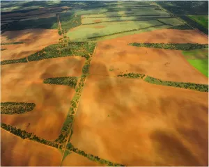 South Australia Landscape Photography Imprime: Patchwork fields