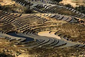 Yunnan Province Landscape Imprime: Bada Terrace pattern