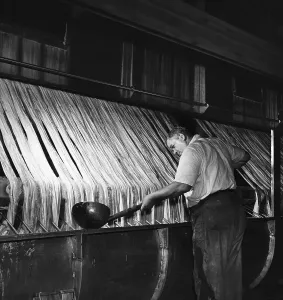 Textile Manufacturing Process Imprime: Processing Rayon