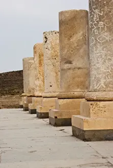 Fars Province Landmarks Imprime: Columns