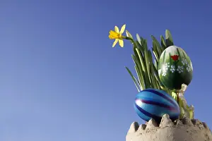 Colored Easter Eggs Imprime: Easter decorations, daffodils and Easter eggs