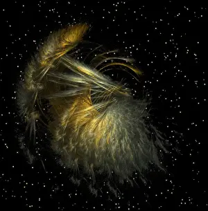 Computer Generated Graphics Imprime: Fractal object