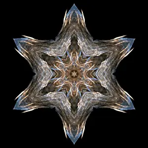 Computer Generated Graphics Imprime: Fractal object