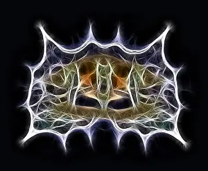 Computer Graphics Illustration Imprime: Fractal object