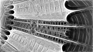Computer Generated Graphics Imprime: Fractal object