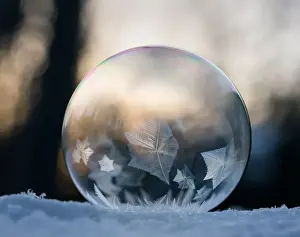 Cold Temperature Photography Imprime: Frozen bubble