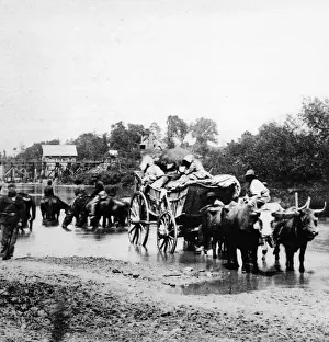 Civil War Images Imprime: Fugitives