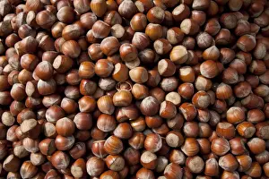 Brown Food Photography Imprime: Hazel nuts, background