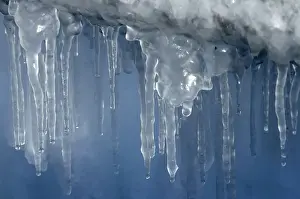Cold Temperature Photography Imprime: Icicles