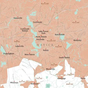 Digitally Generated Cartography Imprime: MA Middlesex Natick Vector Road Map