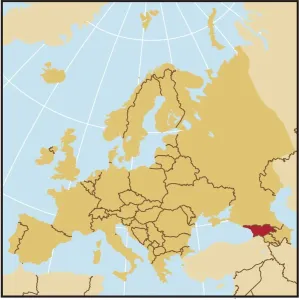 Vintage Maps Online Imprime: Reference Maps, 107960540