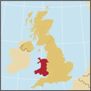 Vintage Maps Online Imprime: Reference Maps, 107960567