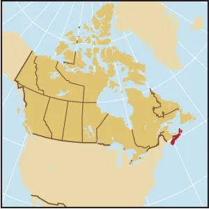 Map Collection Imprime: Reference Maps, 107960618