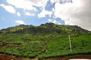 South India Tourism Imprime: Munnar