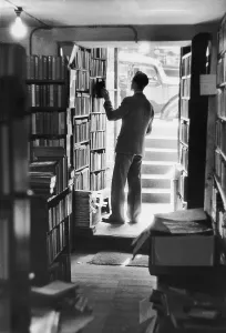 Vintage Book Collection Imprime: Avid Reader