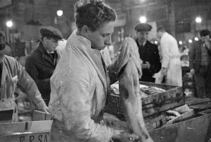 Fishing Industry In England Imprime: Checking The Cod