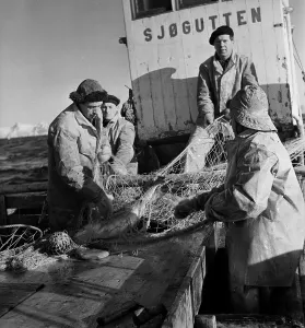 Vintage Boat Photography Imprime: Codfish Trawling