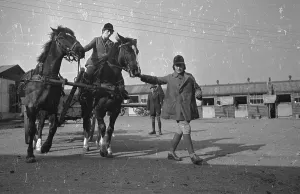 WW2 Women In Uniform Imprime: Horse Training