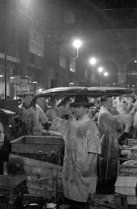 England Black And White Photography Imprime: Loading Halibut