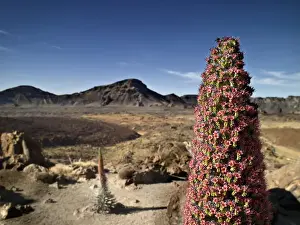 Volcano Photography Imprime: Volcano