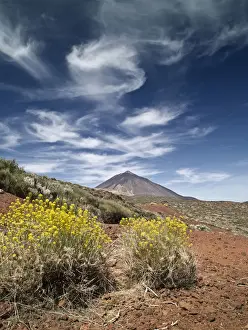 El Teide National Park Imprime: Volcano in spring