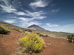 Tenerife Volcano Landscape Imprime: Volcano in springtime