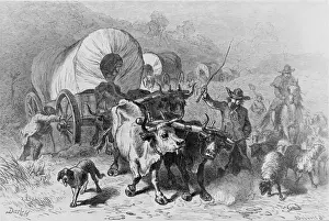 American Pioneer Life Imprime: Wagon Train